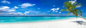 Private beach, white sand, beach cabanas, beach umbrellas - Palm Beach Singer Island Resort & Spa Luxury Suites (Singer Island)