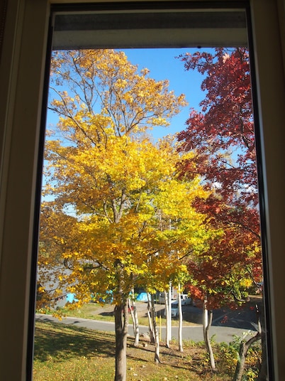 Pension Mountain Jam