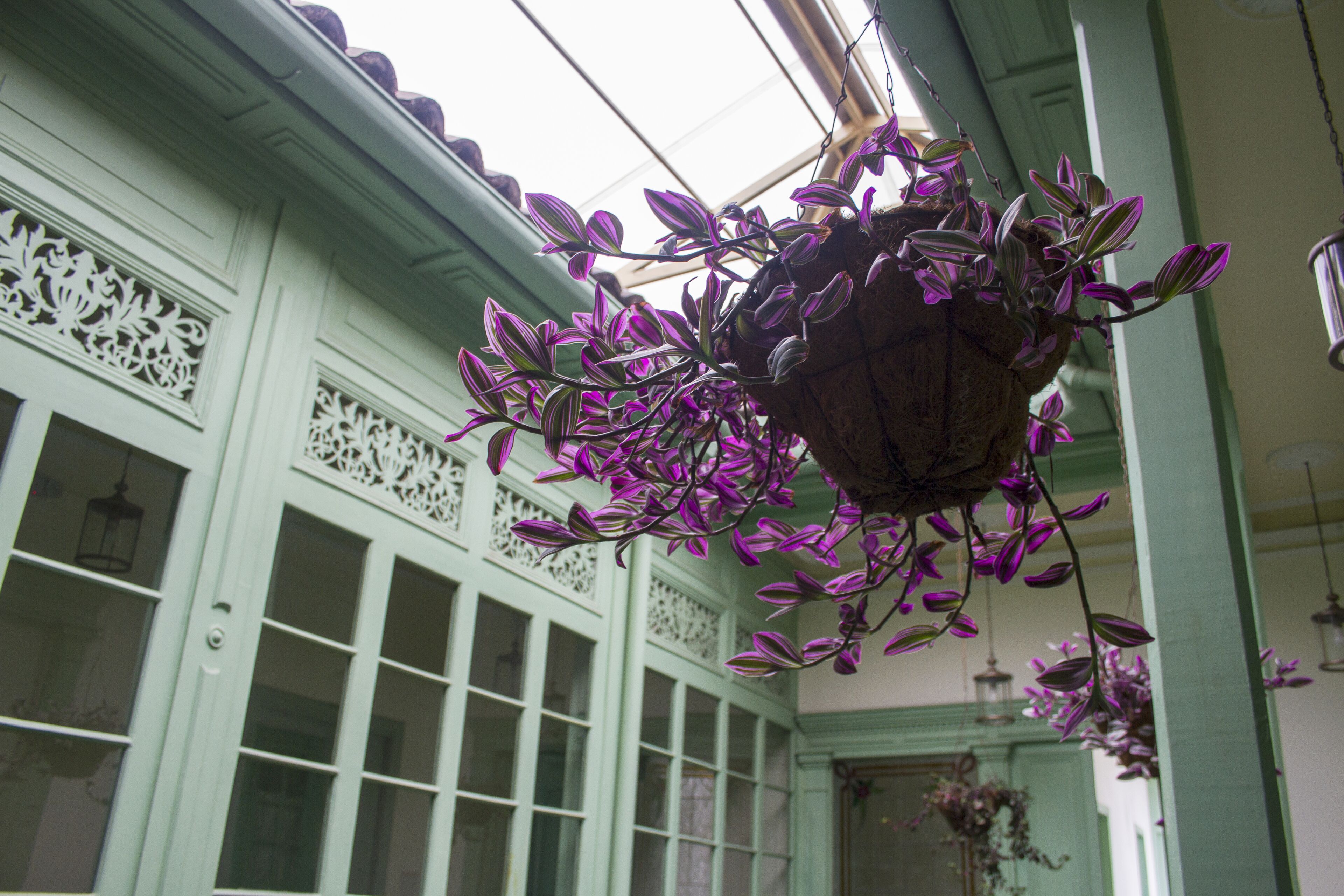 Foto - Hotel Casa de la Vega