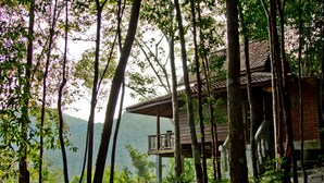 Une cabane en bois dotée d’un balcon, entourée d’une forêt dense et avec des montagnes en arrière-plan.