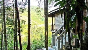Une cabane en bois dotée d’un balcon, entourée de grands arbres et d’un paysage verdoyant luxuriant.