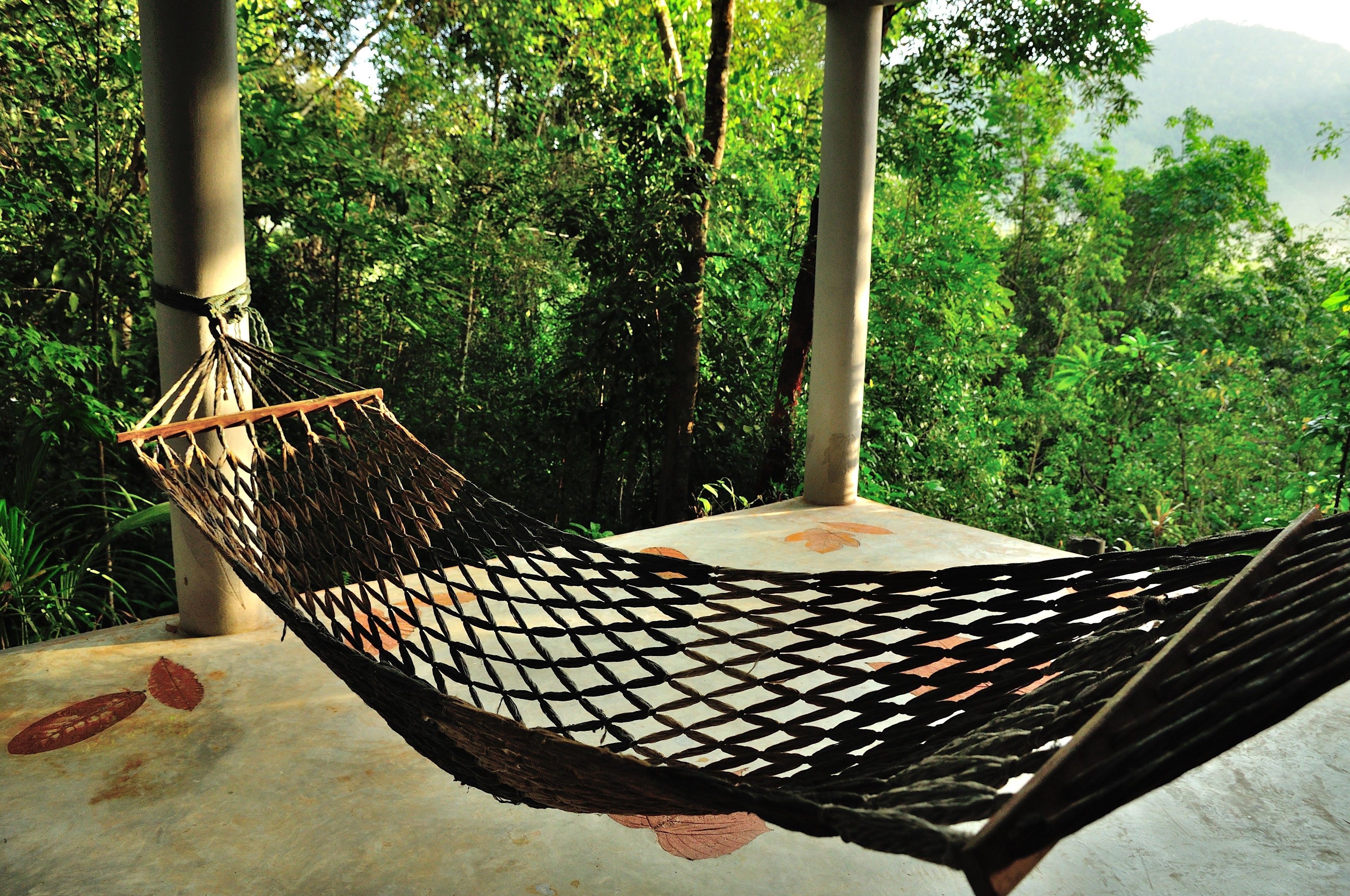 A hammock tied between two poles, set on a concrete surface with a view of dense green foliage in the background.