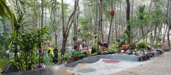 Chestnut Hill Eco Resort