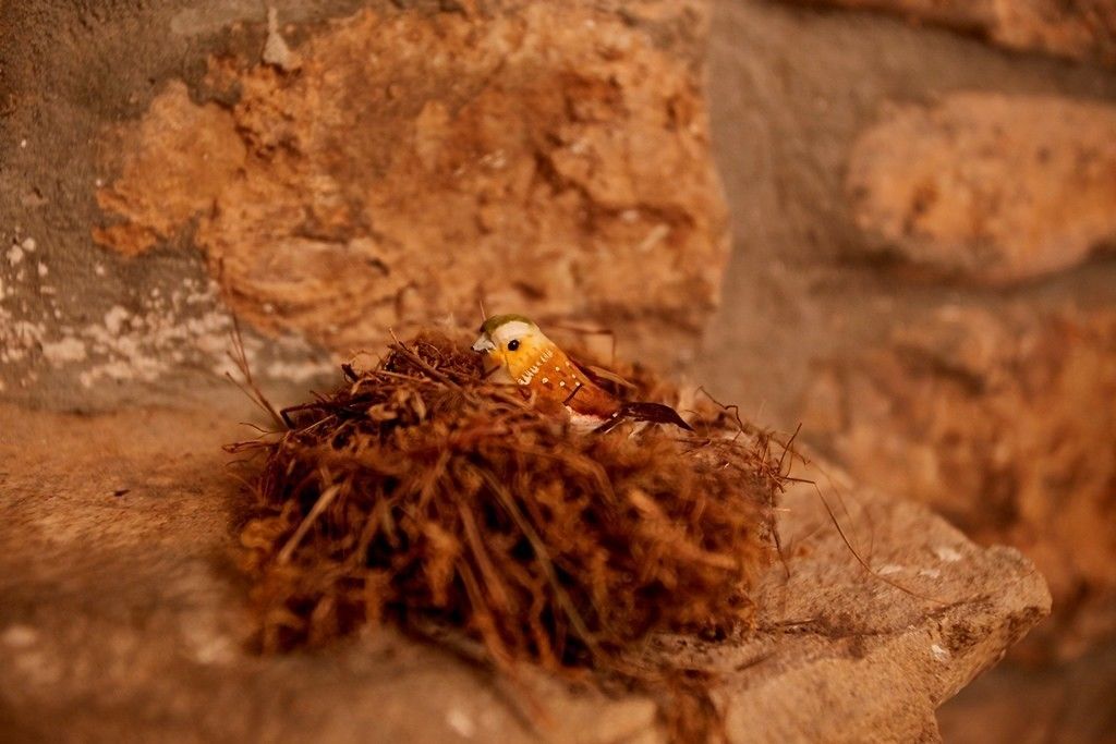 Foto - Posada Rural Ochohermanas