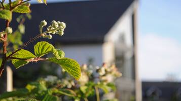 Bagian depan properti