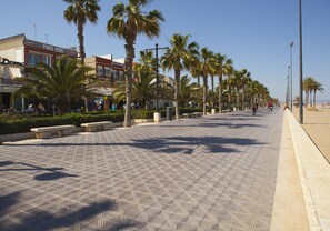 A paved walkway lined with palm trees and benches, leading to a beach.