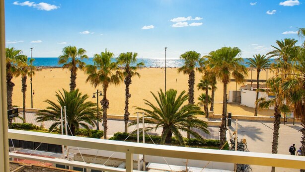 A beach view with palm trees, a clear sky, and the ocean. - Malvarrosa Beach Rooms (Valencia)