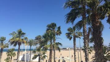 A beachside promenade with palm trees, a clear sky, and a Burger King sign.
