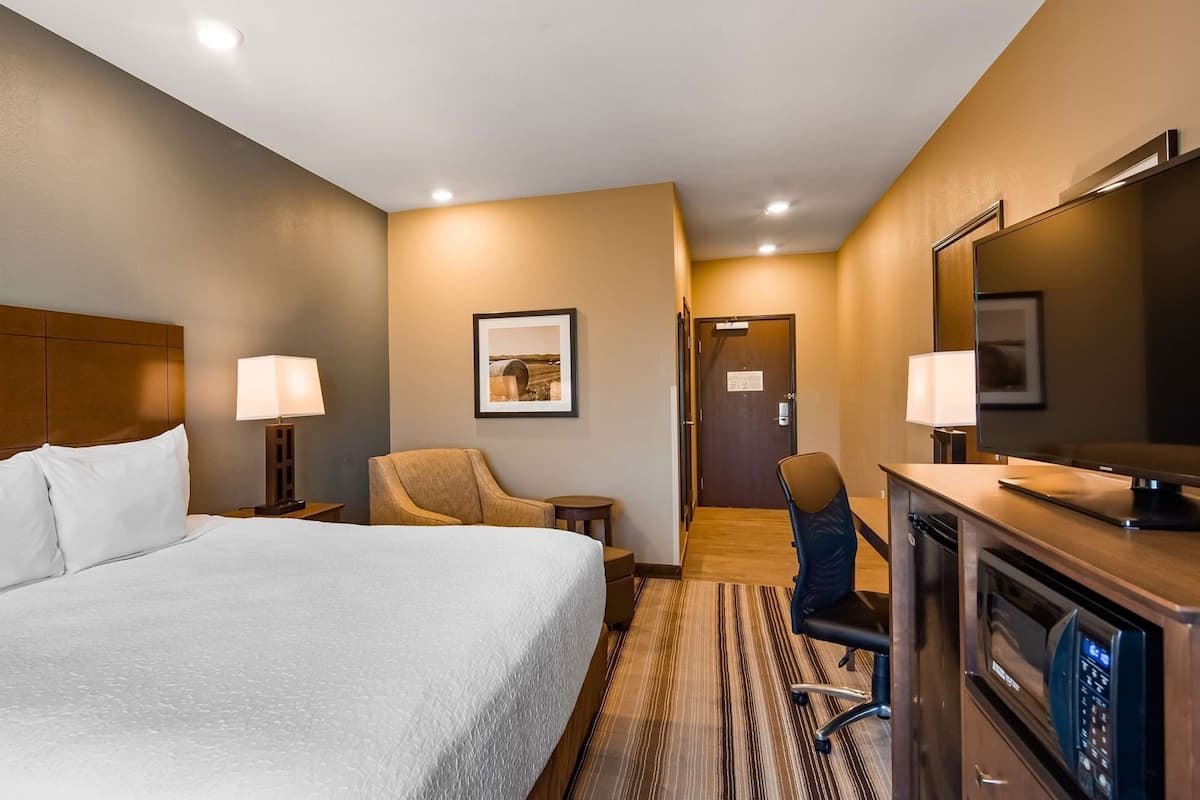 Une chambre d’hôtel avec un lit, un bureau avec un ordinateur, une chaise, une lampe et un tableau au mur.