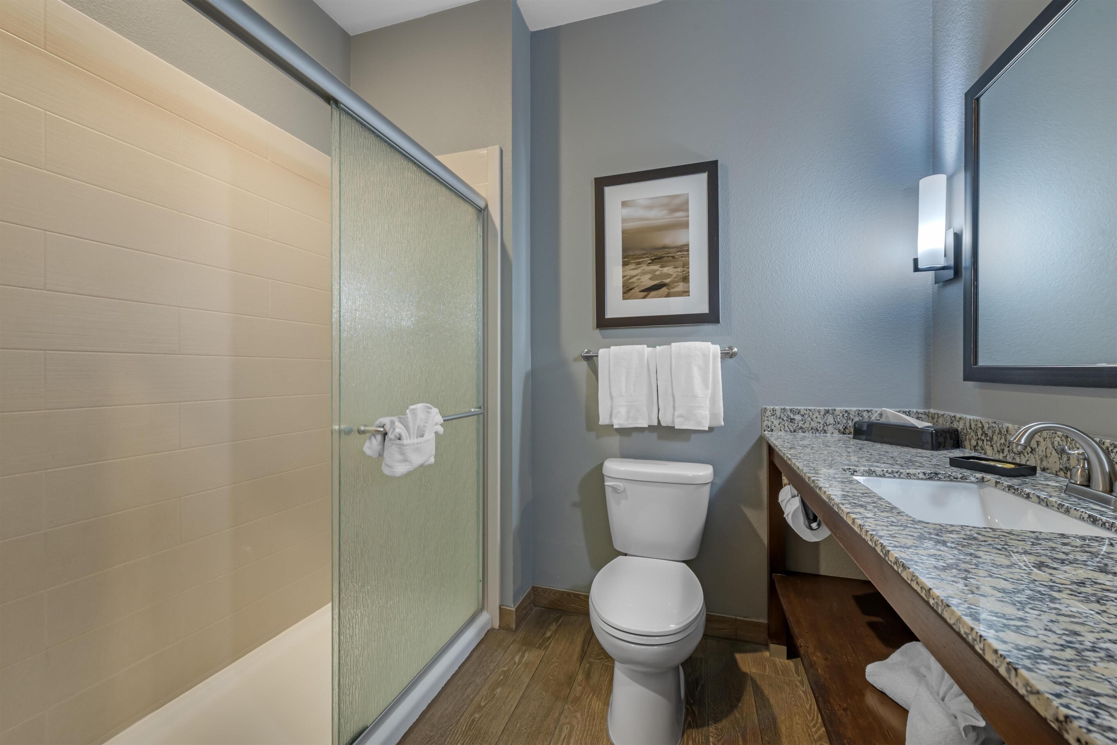 A bathroom with a glass shower door, a toilet, a sink with a marble countertop, and a framed picture on the wall.