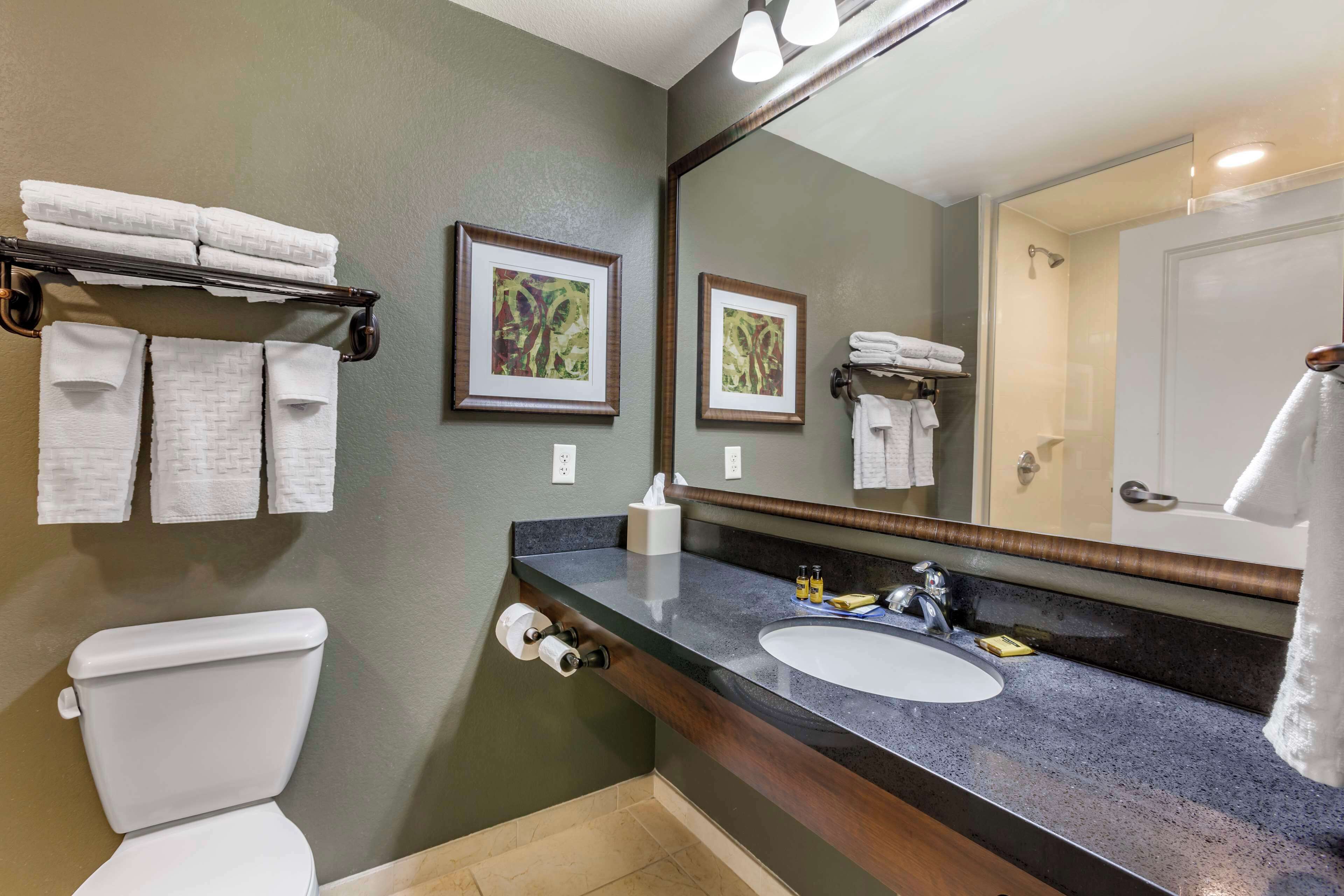 combined shower/bathtub, free toiletries, hair dryer, towels