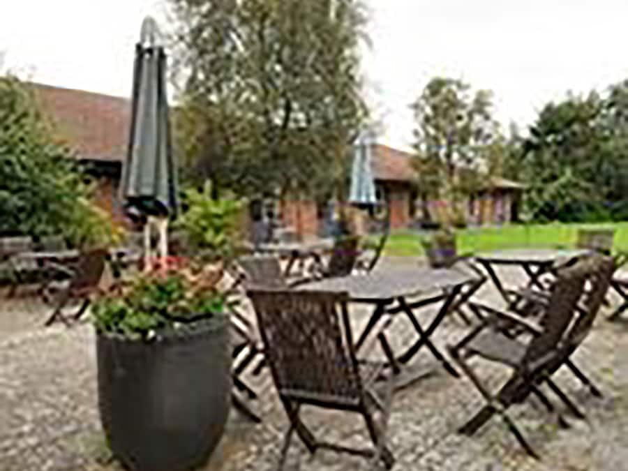 An outdoor patio area with tables and chairs, surrounded by potted plants and umbrellas.
