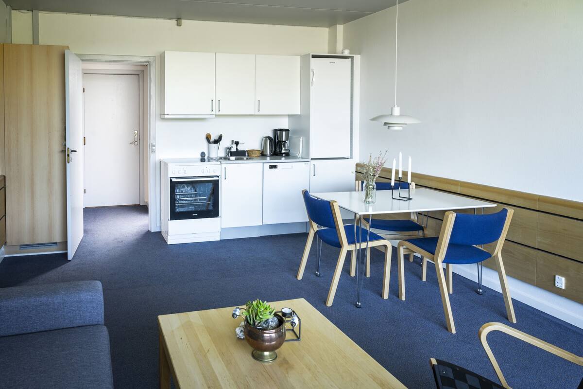 Standard Apartment, 1 Bedroom | Private kitchen