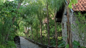 Ein gepflasterter Weg, gesäumt von üppiger Vegetation und einem rustikalen Gebäude mit einem Ziegeldach.