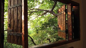 Ein Fenster mit Holzläden, Blick auf eine von Bäumen gesäumte Außenanlage.