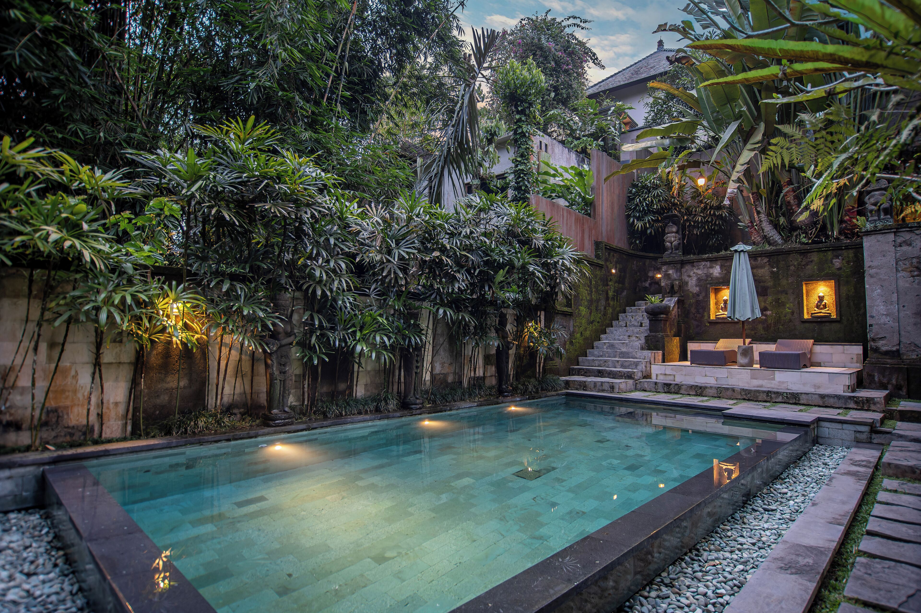 A swimming pool surrounded by lush greenery and stone steps leading to a seating area with a view of a house.