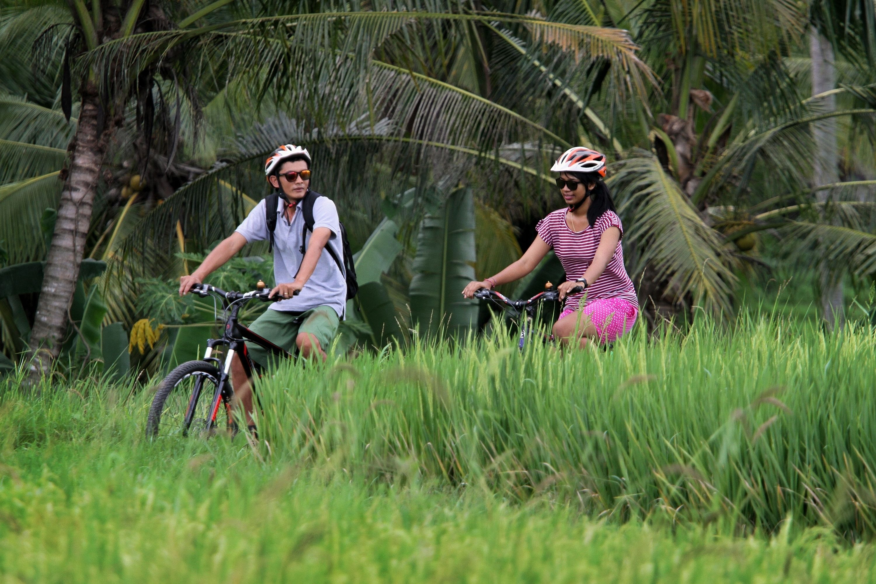 Two people riding bicycles in a grassy area with palm trees in the background.