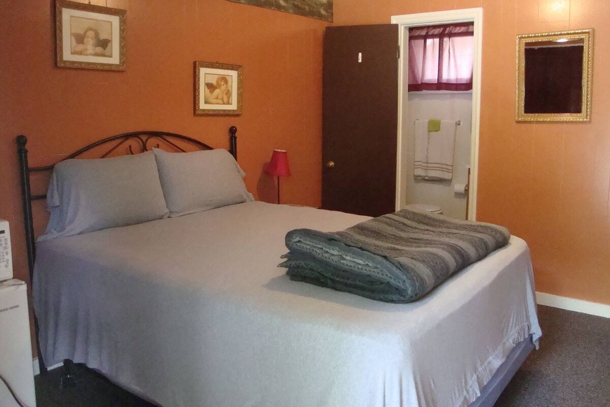 Une chambre à coucher avec un lit, une porte et deux tableaux encadrés accrochés au mur.