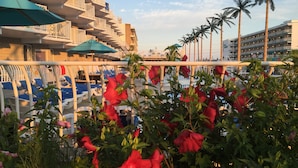 A hotel with multiple balconies, a pool area with lounge chairs, and palm trees in the background. - Shalimar Resort (Wildwood Crest)