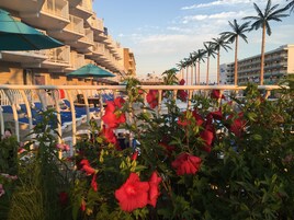 Vista desde la habitación