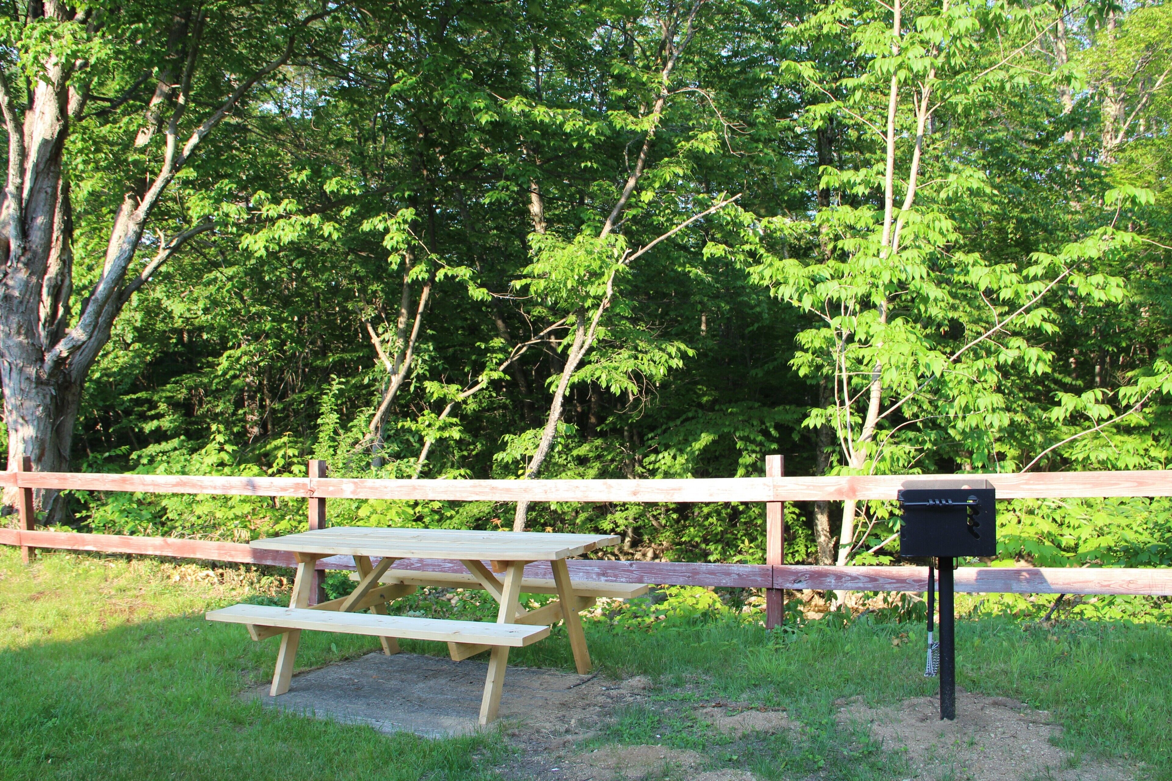 Una mesa de picnic con bancos en un área boscosa, con una valla de madera al fondo.