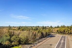 A paved road with a white line down the center, surrounded by dense shrubbery and trees under a clear blue sky. - Outlook Condos at Oyhut Bay Resort (Ocean Shores)