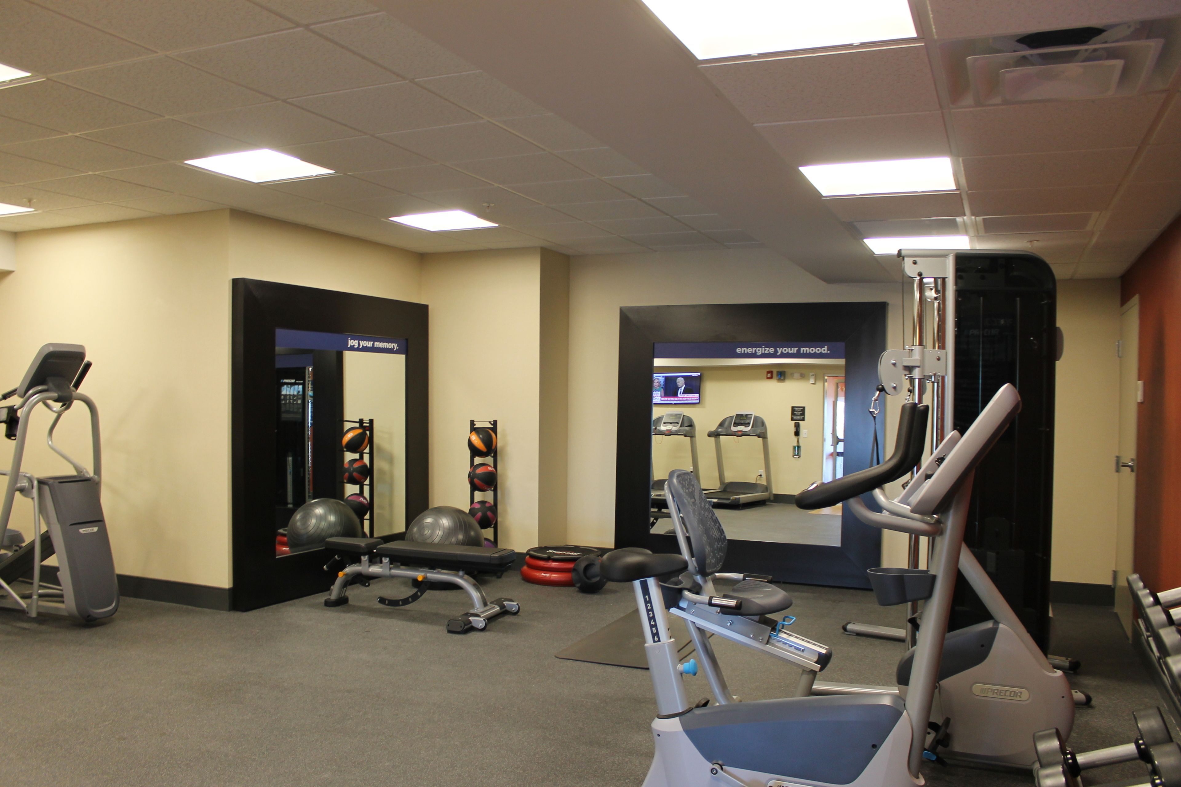 A gym with treadmills, elliptical machines, and weight equipment.