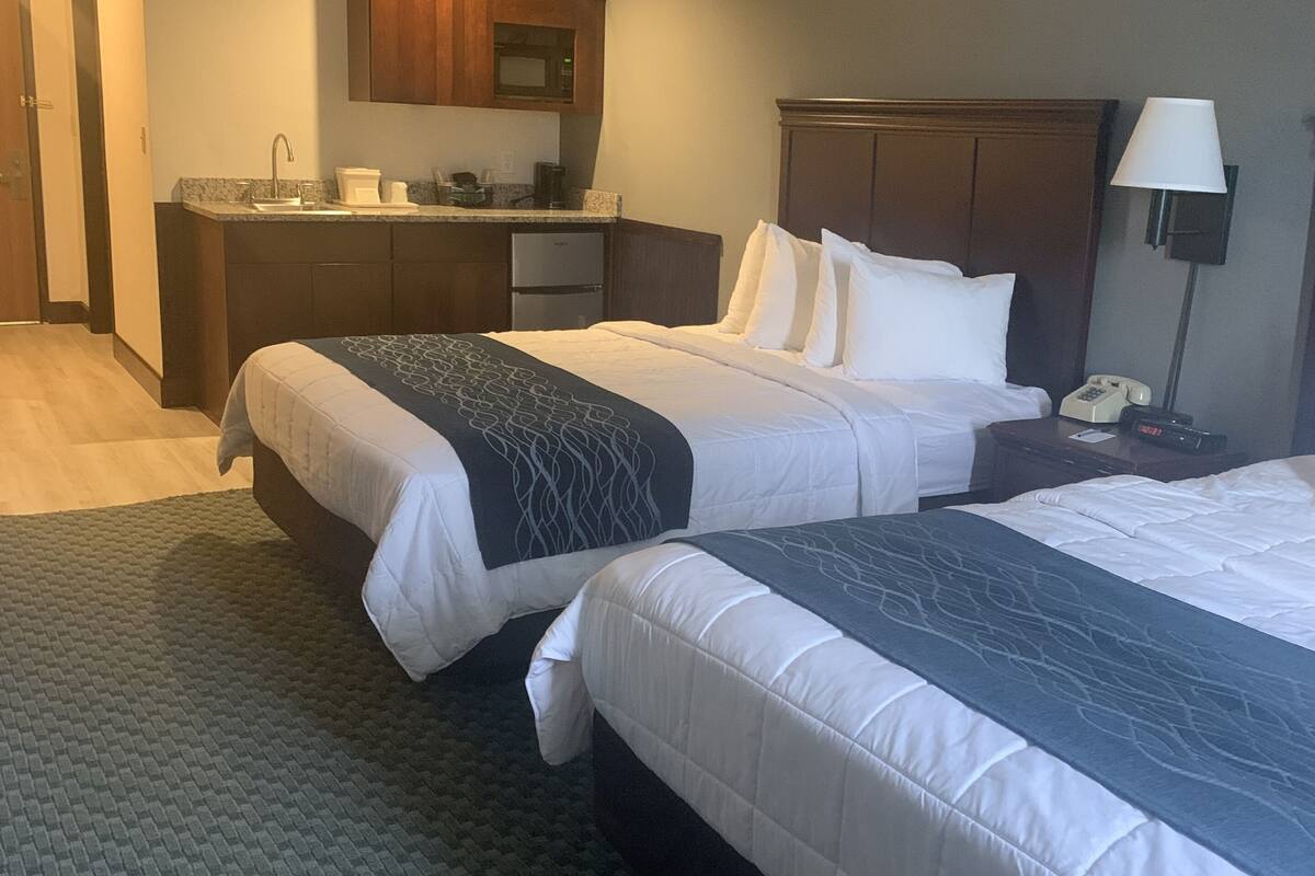 deluxe room, multiple beds, kitchenette | blackout curtains, iron/ironing board, free cots/infant beds