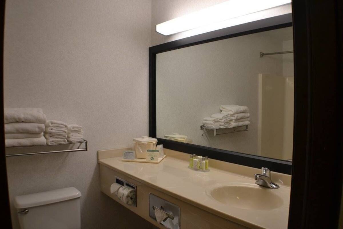 combined shower/bathtub, free toiletries, hair dryer, towels