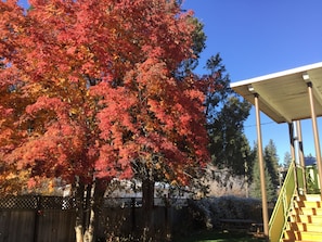 Exterior - Cedars Motel (Princeton)