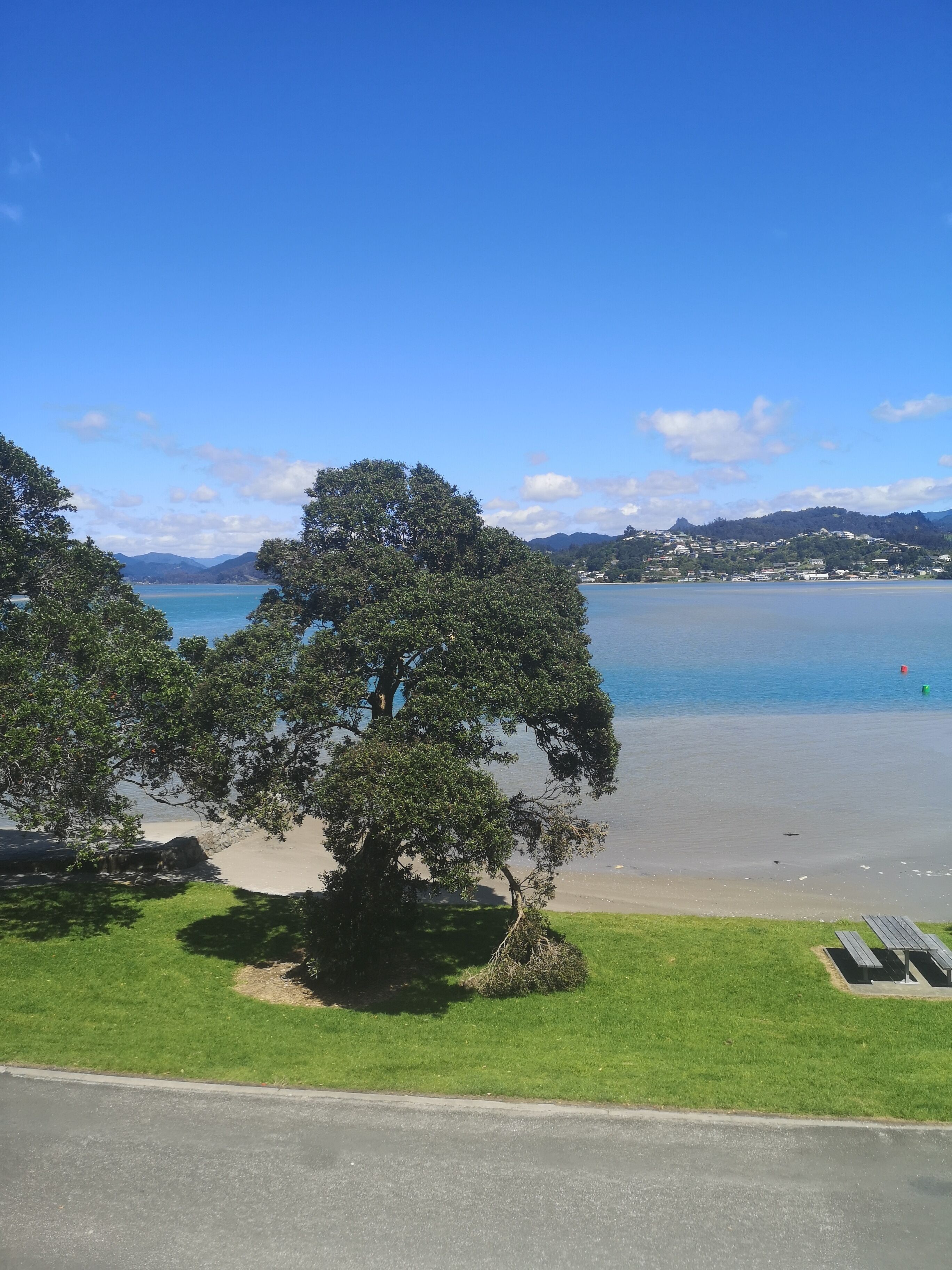 Ein Strand mit blauem Himmel, einem großen Baum und einer grünen Wiese.