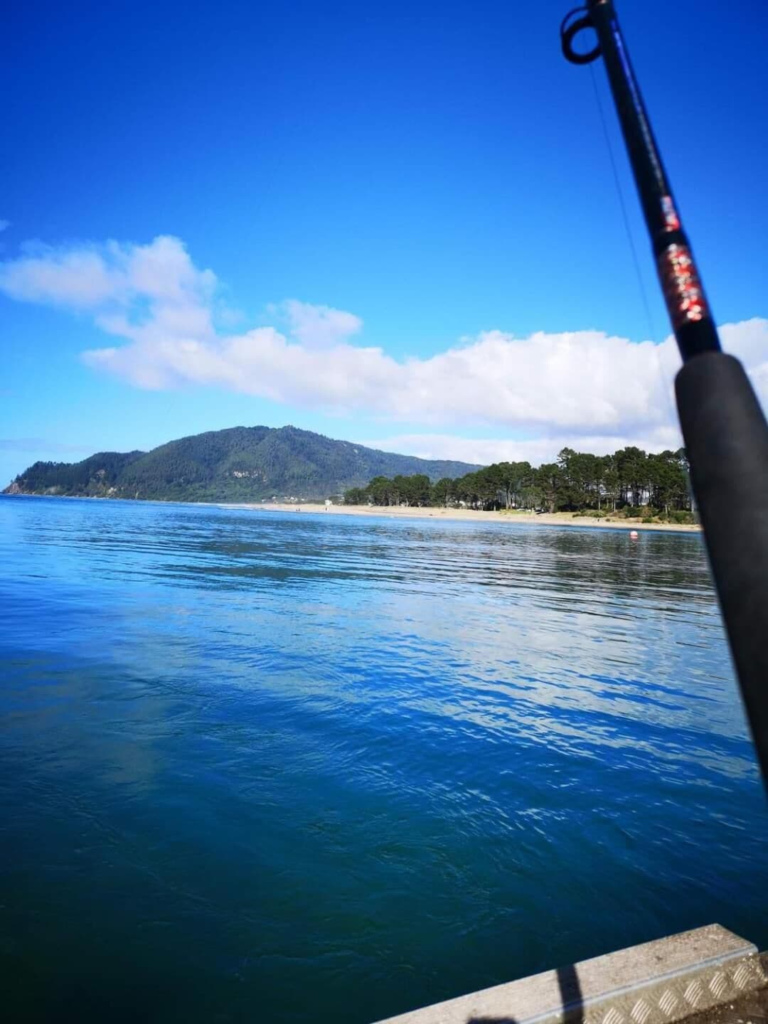 A fishing rod in the foreground with a clear view of a calm sea and a distant beach with trees and hills.
