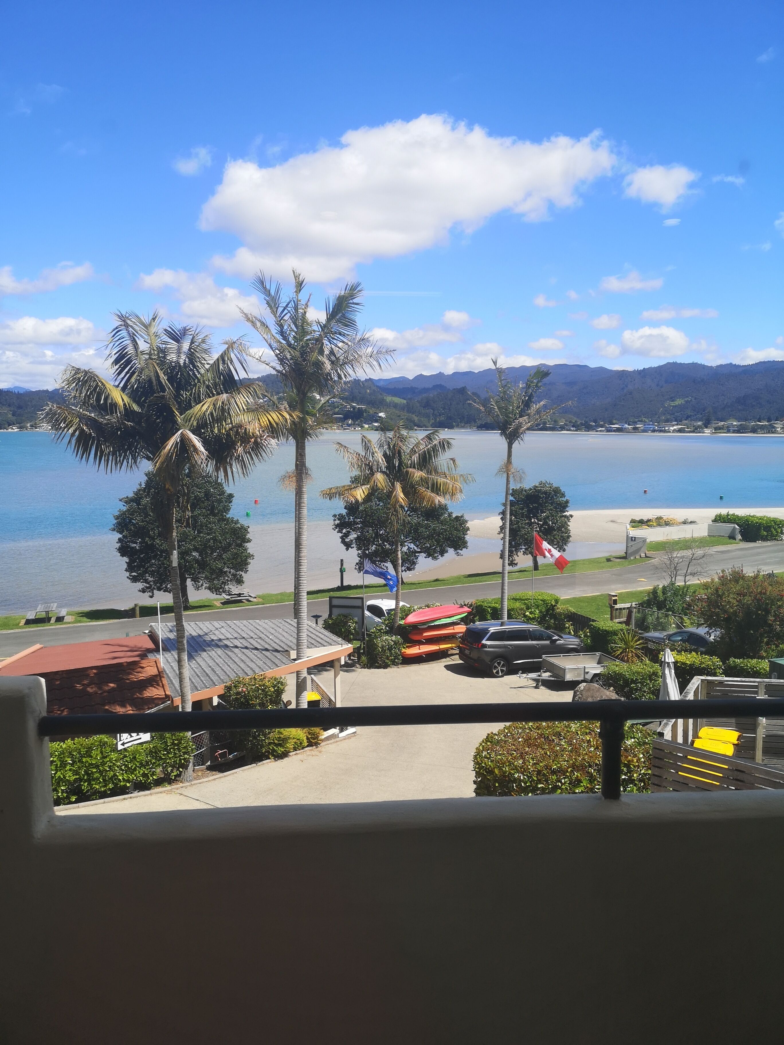 Vista di una spiaggia con palme, una bandiera e auto parcheggiate.