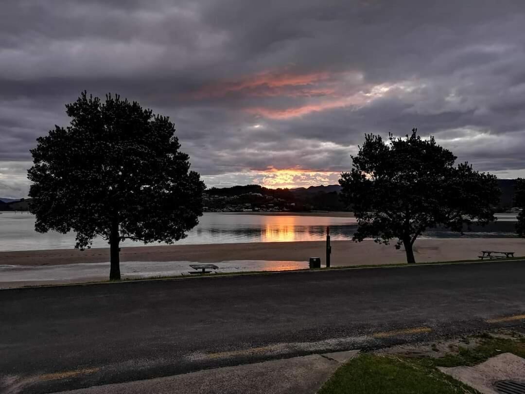 A park with a lake, trees, and a bench.