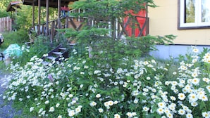 A wooden cabin with a porch and a garden full of daisies. - Tocotoco House (Nakafurano)