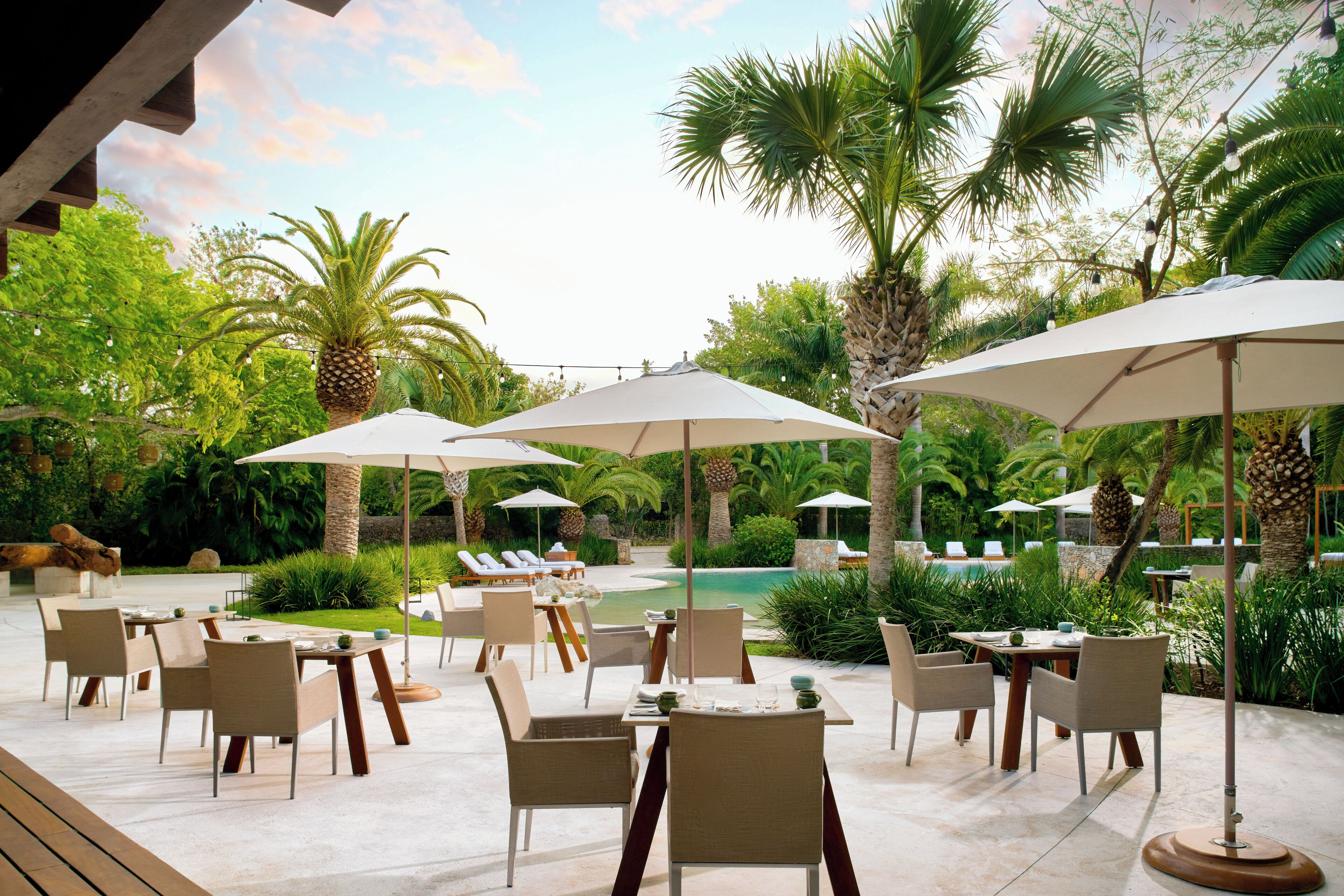 Un patio al aire libre con varias mesas y sillas, rodeado de palmeras y una piscina.