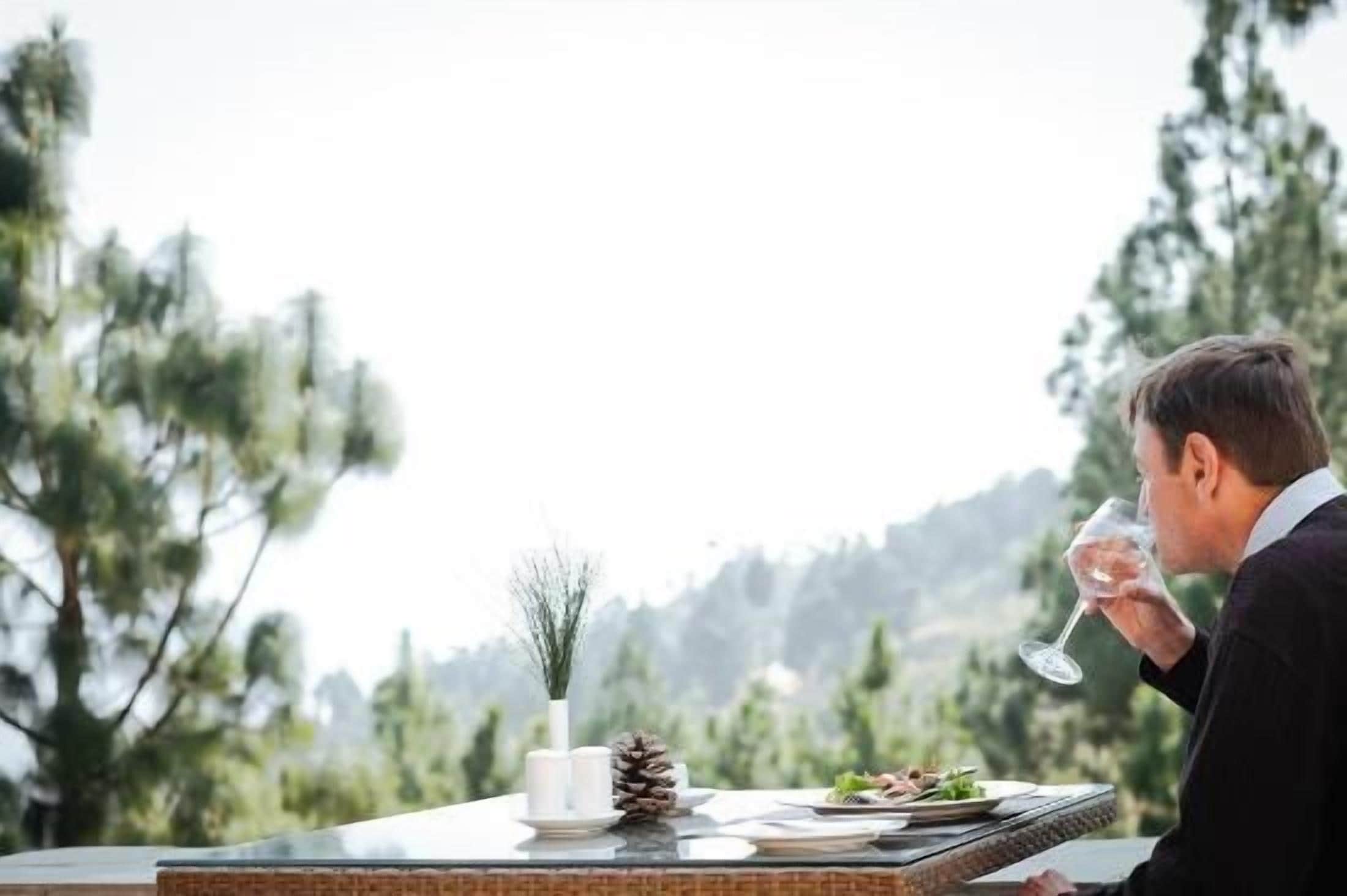 Una persona sentada a una mesa con una copa de vino, un plato de comida y un centro de mesa con piñas, con vistas a un paisaje boscoso.
