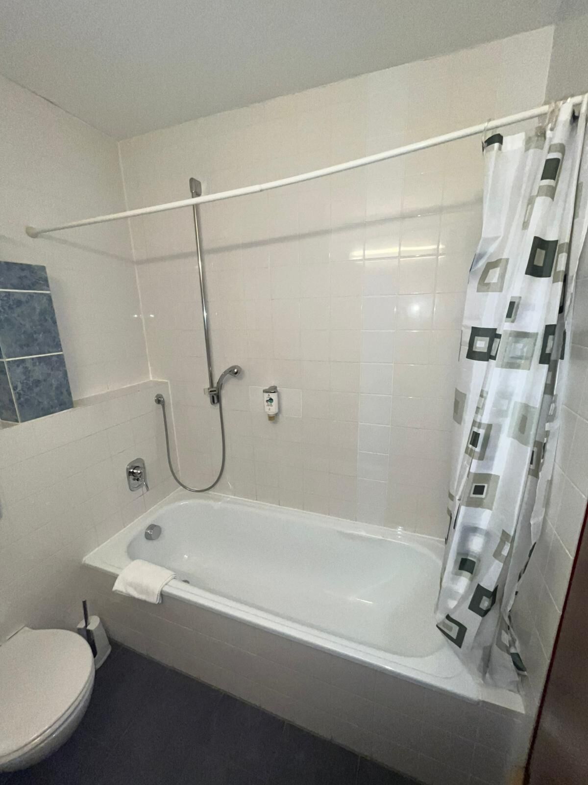 Un baño con bañera, inodoro y zona de ducha.