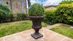 Un topiario en maceta sobre un patio empedrado, con un edificio de piedra al fondo.