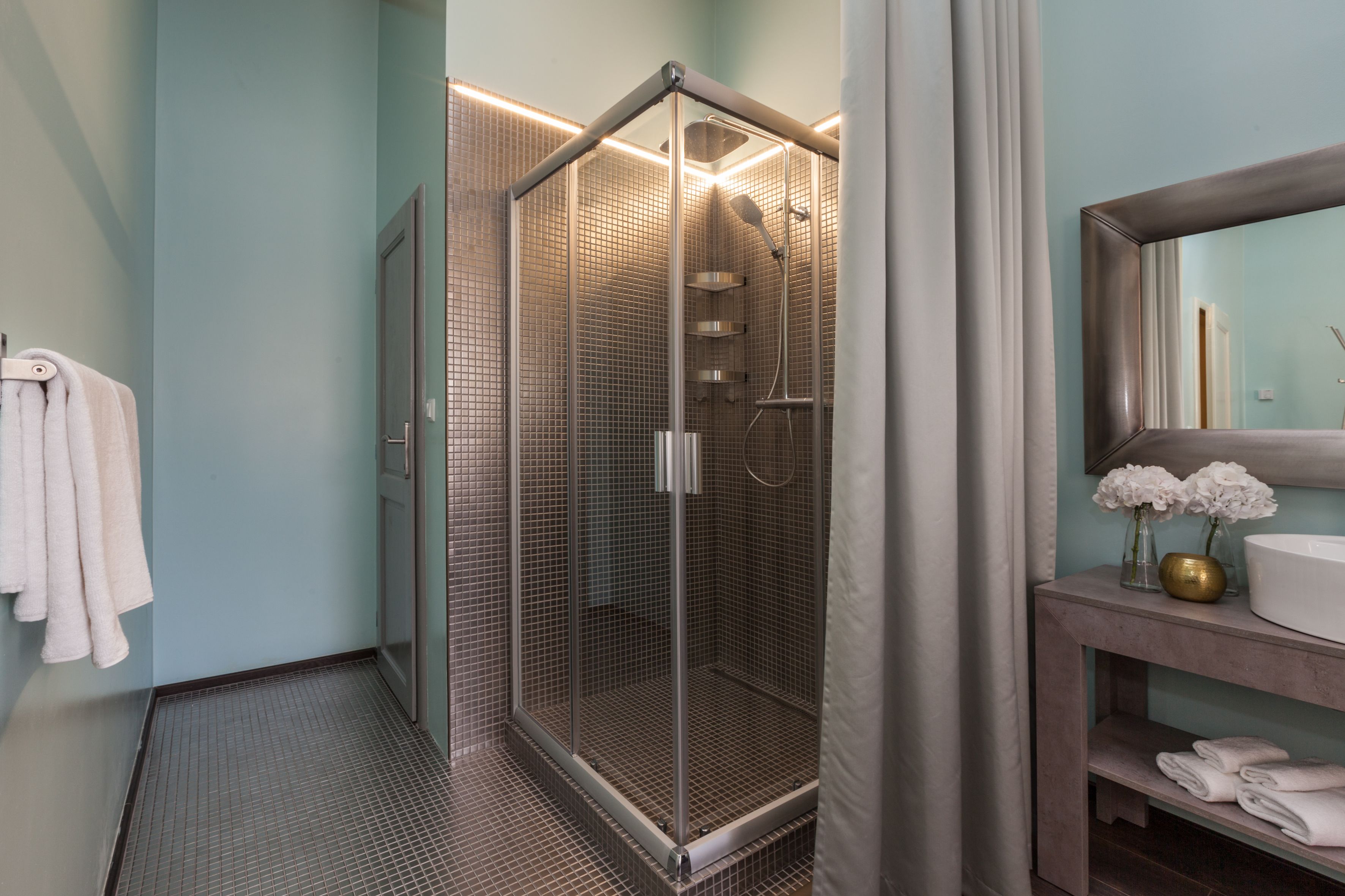 deluxe double room | bathroom shower