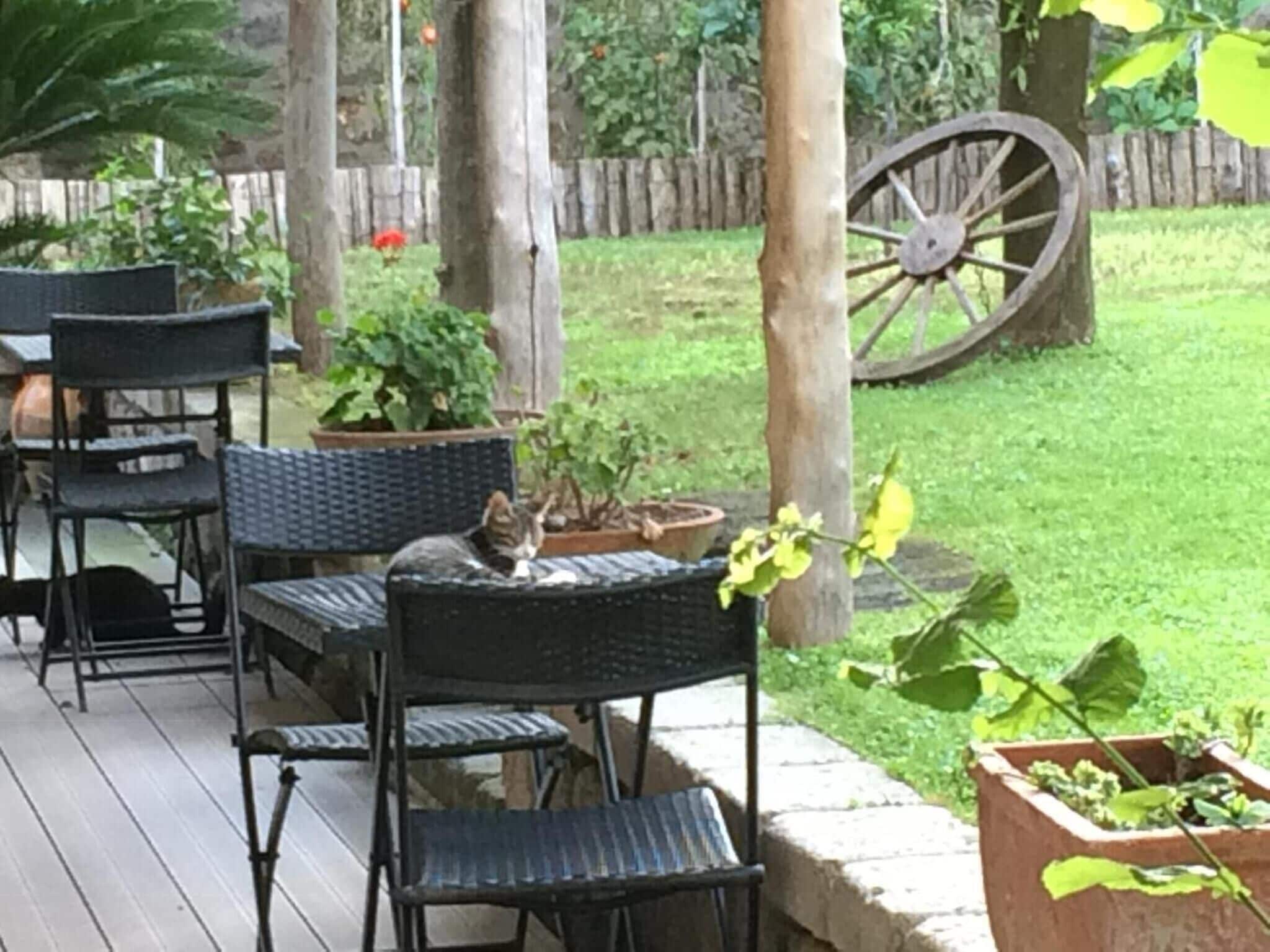 Photo - Giardino Sorrentino