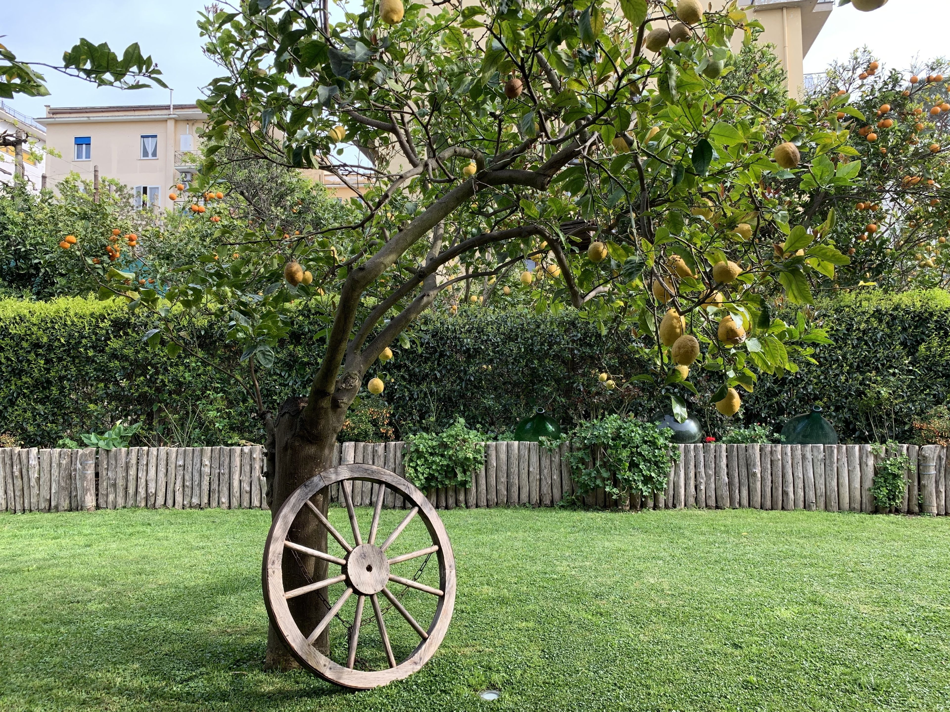 Photo - Giardino Sorrentino