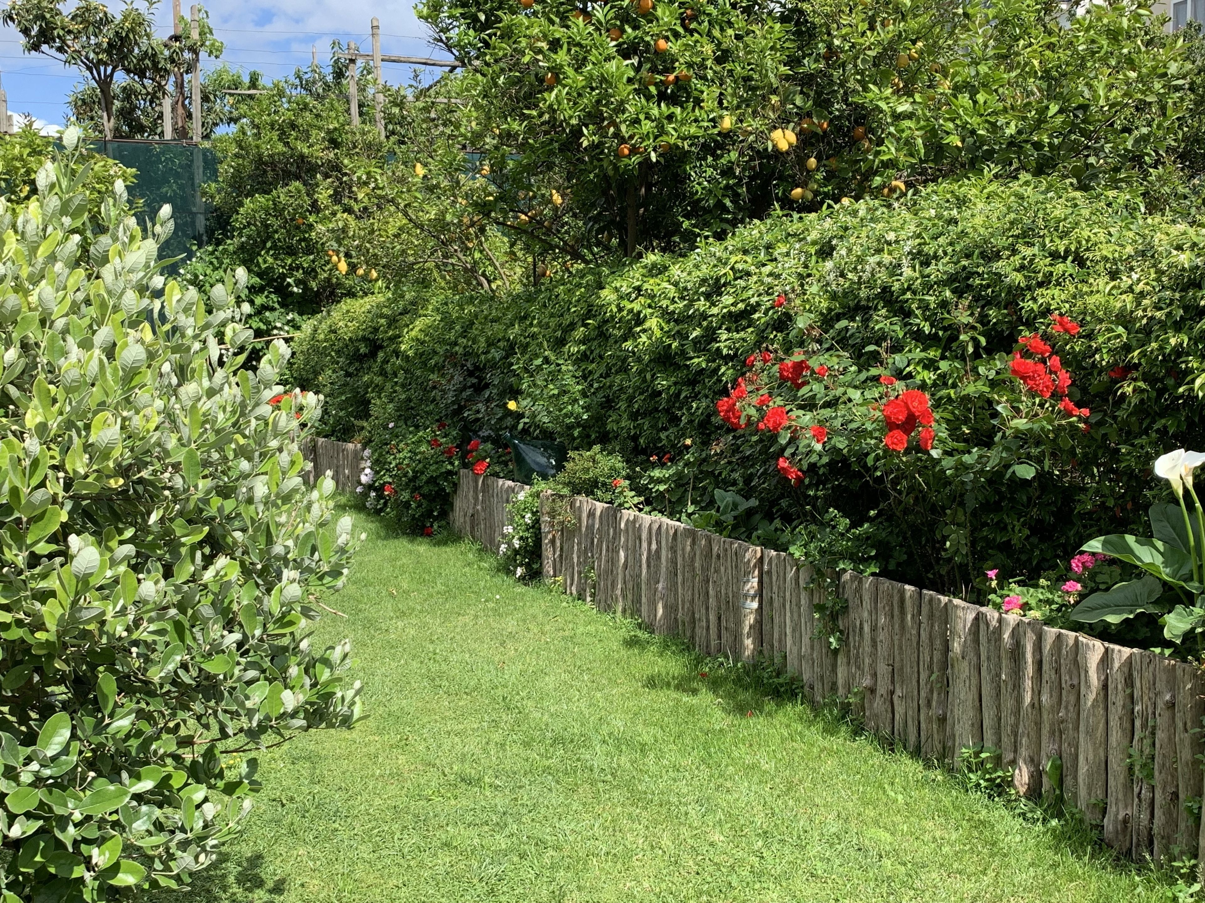 Photo - Giardino Sorrentino