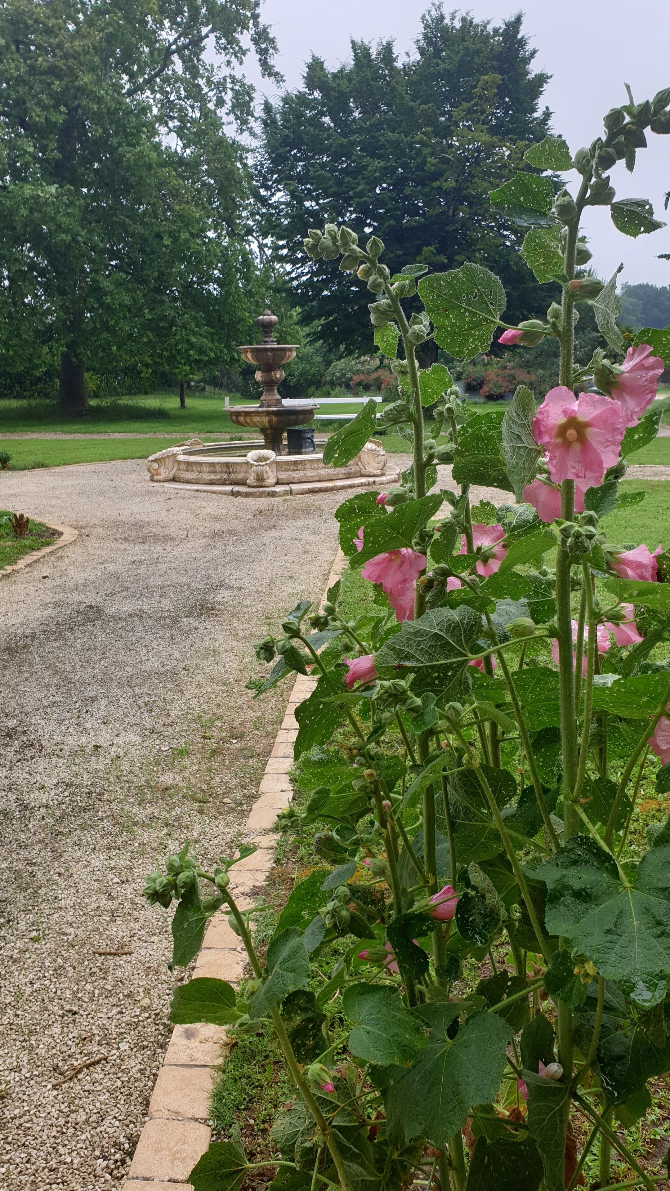 Un jardín con fuente, sendero de grava y plantas en flor.