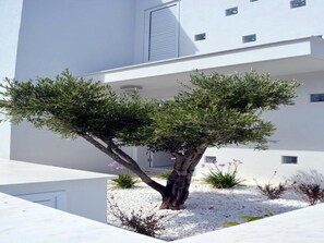 Villa, 5 chambres, piscine privée, vue mer | Terrasse/Patio