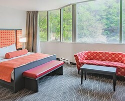 A hotel room with a bed, a bench, a small table, and a sofa. There are large windows providing a view of greenery outside.