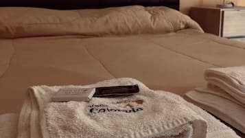 Camera doppia | Minibar, una scrivania, letti aggiuntivi (a pagamento), Wi-Fi gratuito