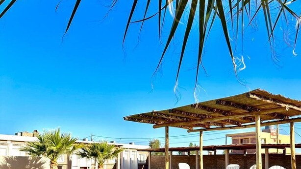A swimming pool with a wooden deck and white chairs, surrounded by palm trees and a clear blue sky.