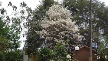 Área da propriedade