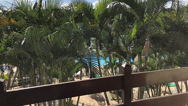 A view of a pool area surrounded by palm trees, with a wooden fence in the foreground. - Hotel Gran Minas (Vespasiano)